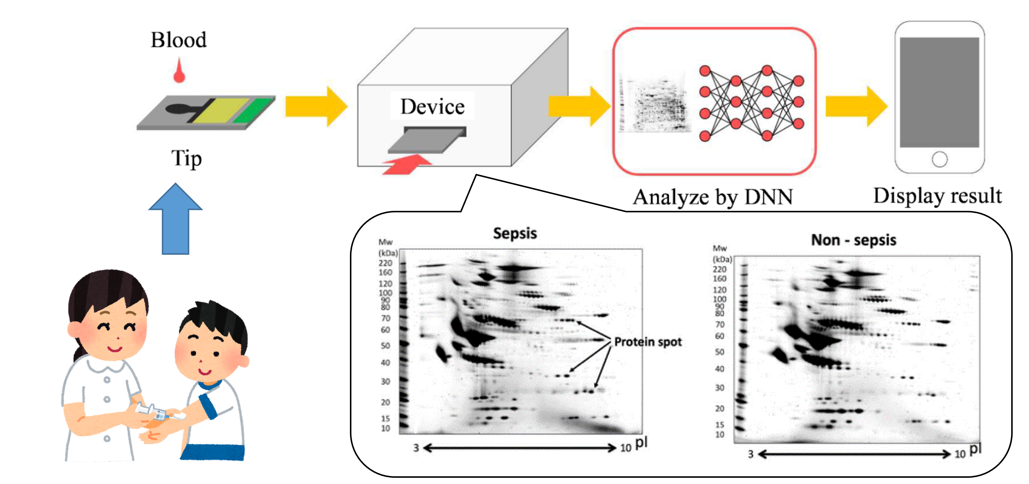 Medical AI and AI proteomics